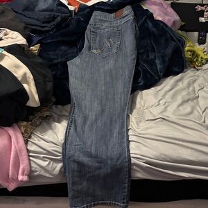 Maurices Classic Blue Boot Cut Jeans